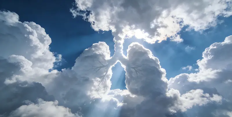 来宾肺癌11基因检测组织版图片1