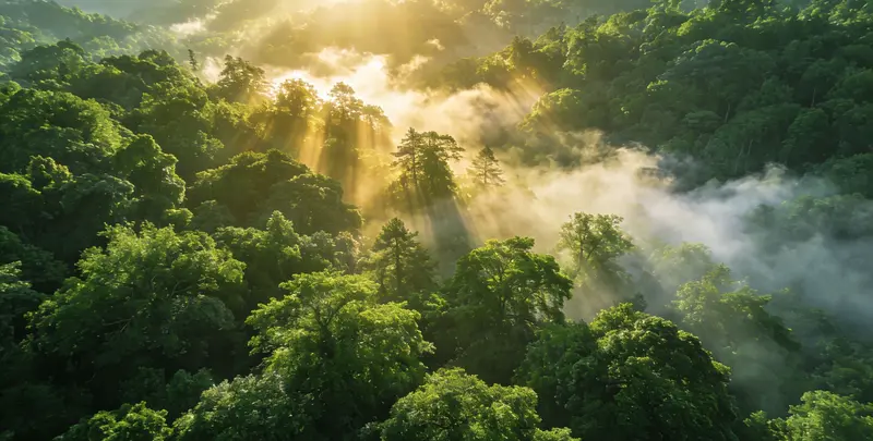 来宾肺癌119基因检测图片1