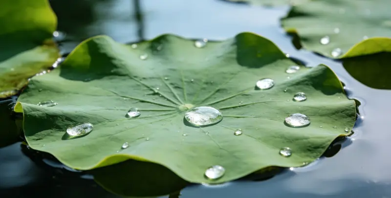 来宾乳腺癌21基因mRNA表达分析图片1