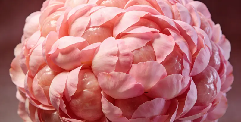 来宾BRCA1/2乳腺癌卵巢癌基因检测图片1